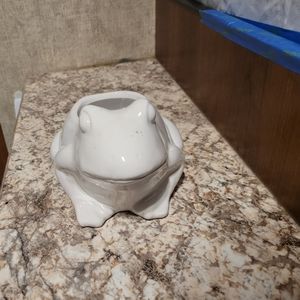 White Frog planter